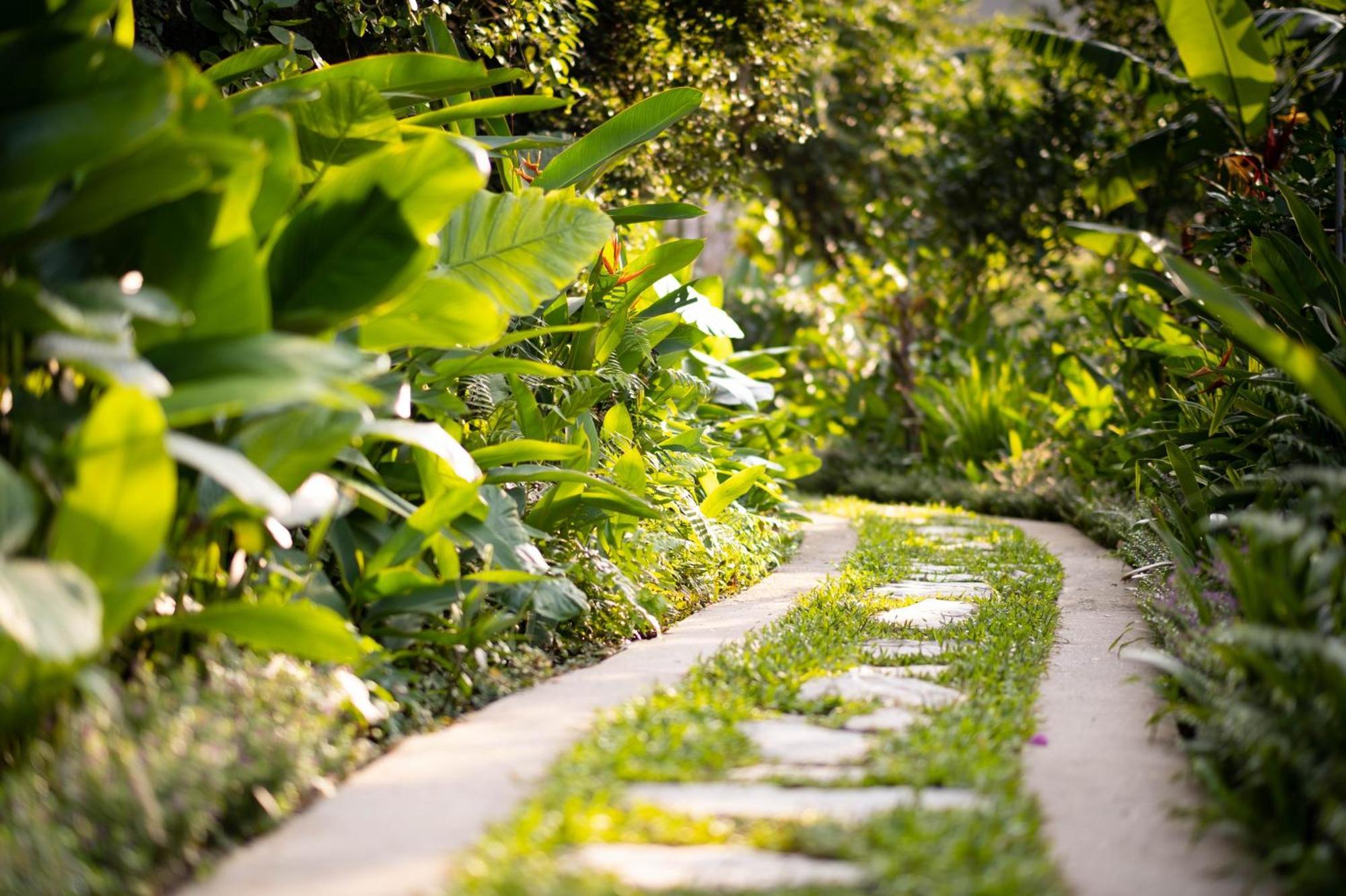 Trang An Ecolodge Ninh Bình Kültér fotó
