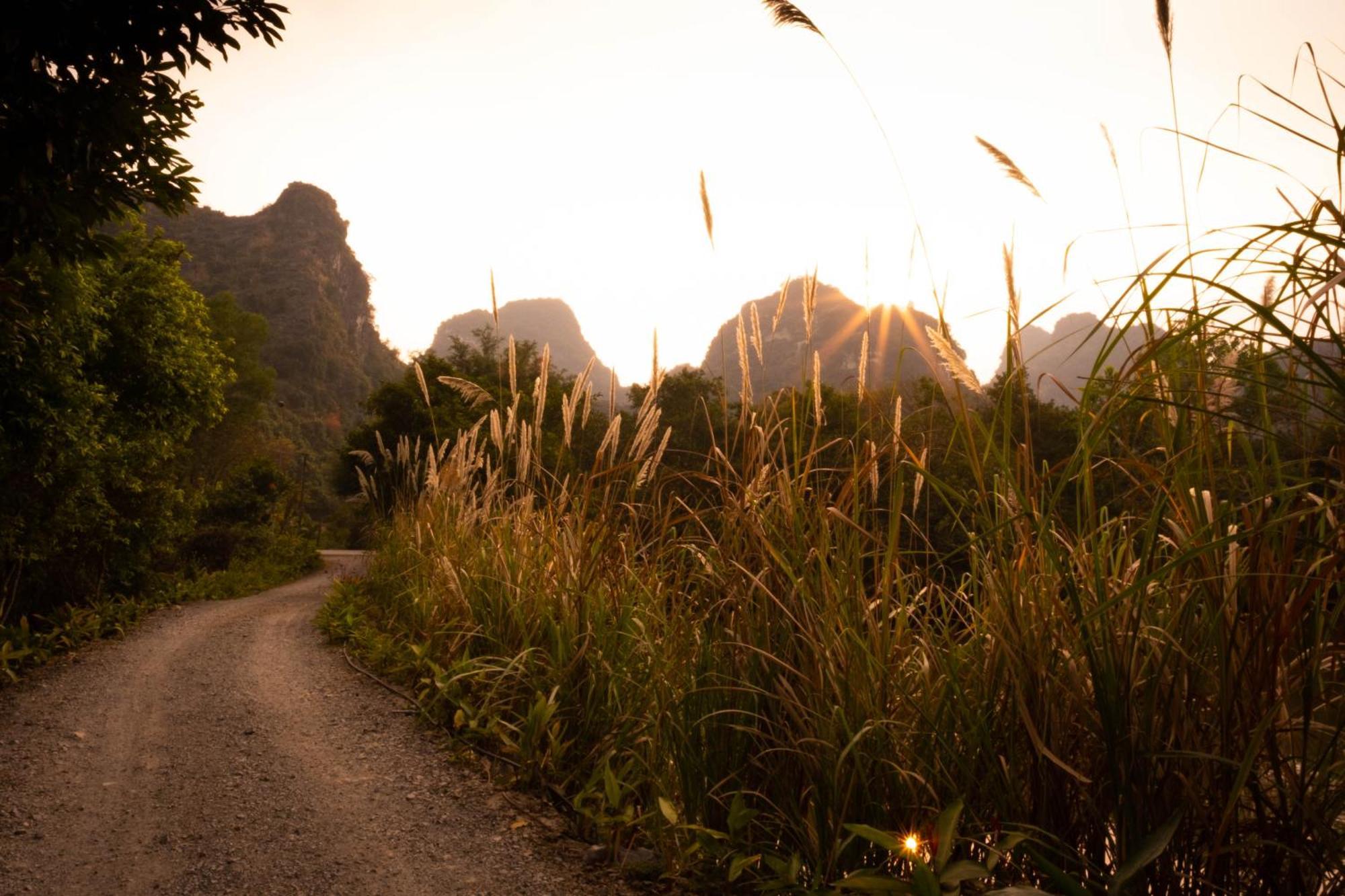 Trang An Ecolodge Ninh Bình Kültér fotó